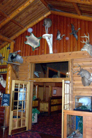 Pines Theatre - Display (newer photo)